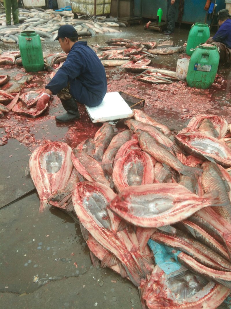 青鱼干