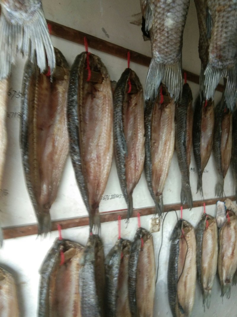 青鱼干