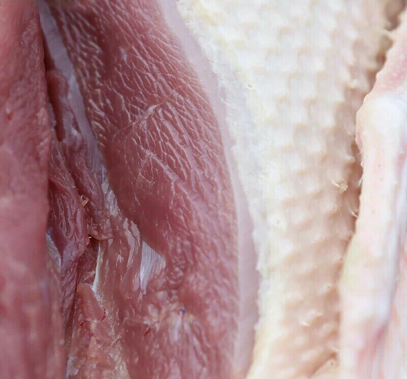 新鲜现杀黑棕鹅草鹅棚鹅广式烧鹅食材酒店餐厅直供