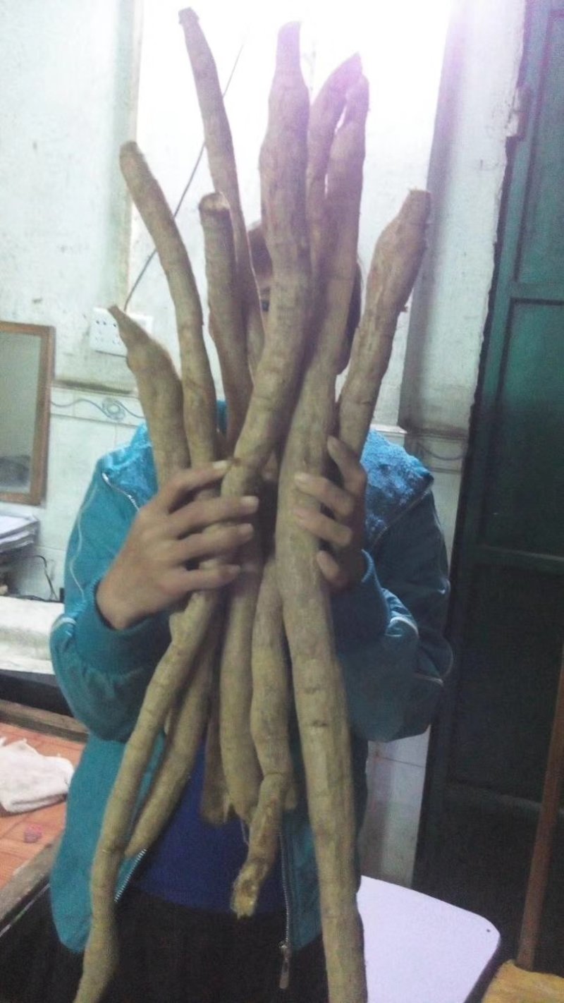 少量野生牛大力暑出售