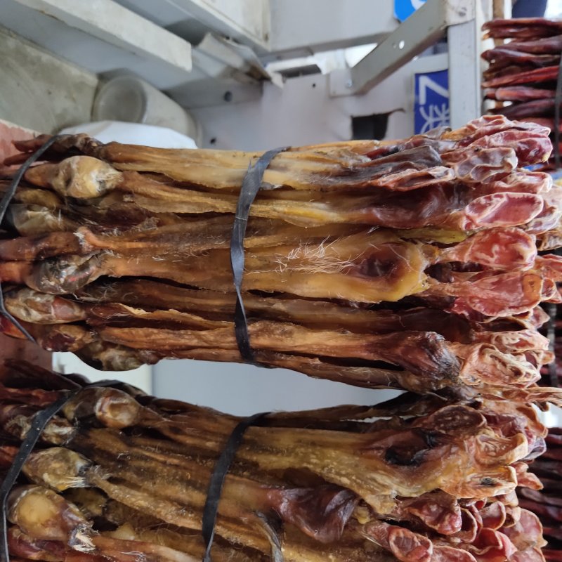 海狗鞭15公分包邮关书药业批发中药材