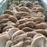 800亩平菇种植基地大量供应：灰白平菇，黑平菇