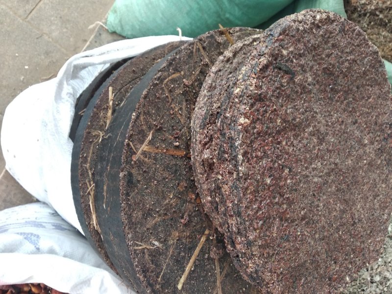 茶粕茶枯压缩茶仔渣饼广西茶油籽渣饼、茶枯饼