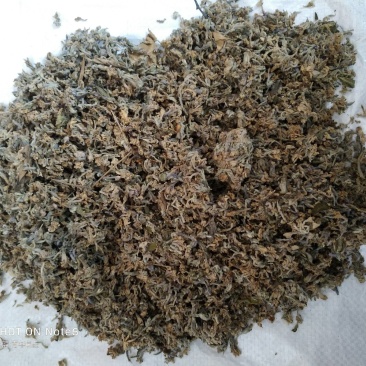 芫花