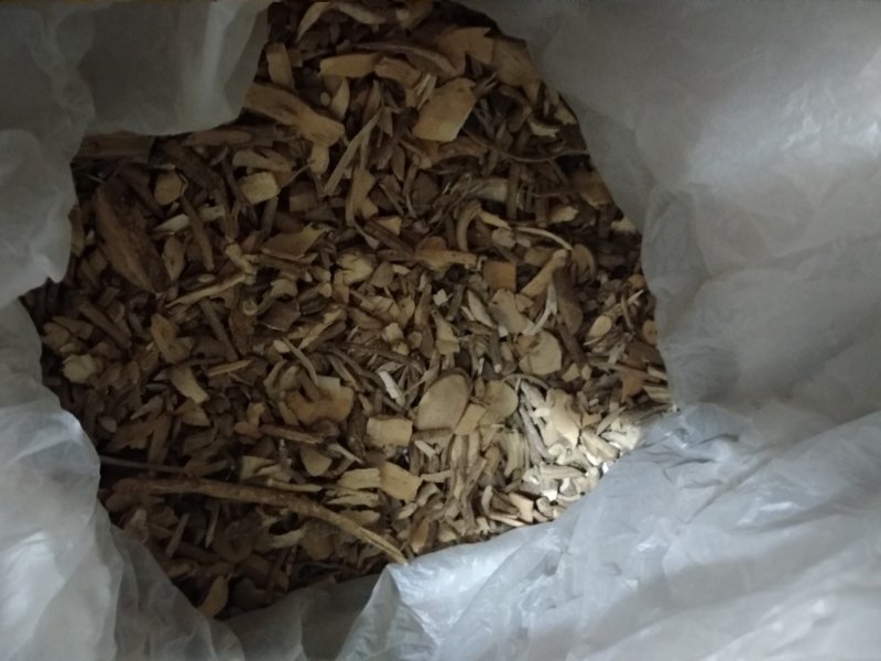 鸟不企全根