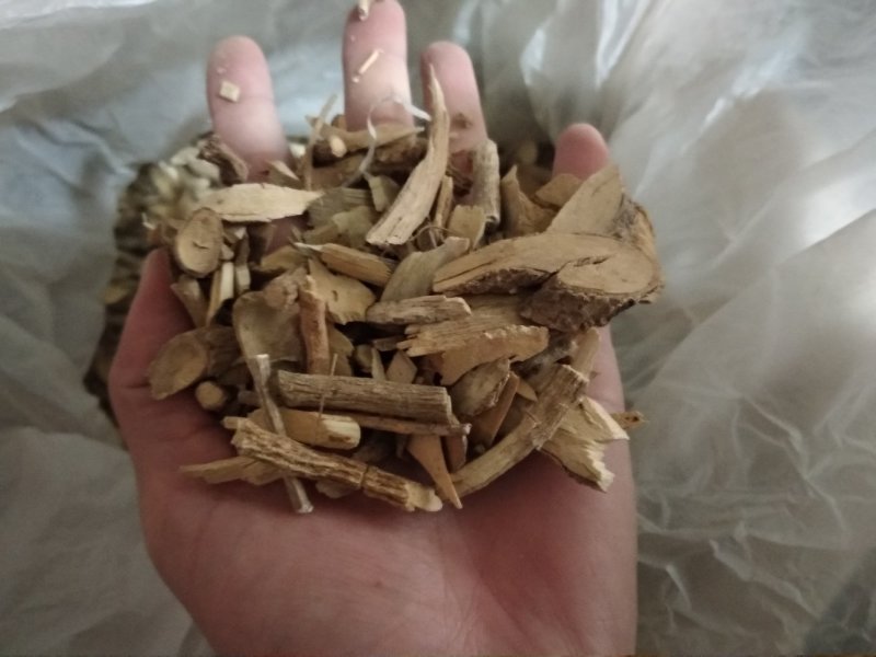 鸟不企全根