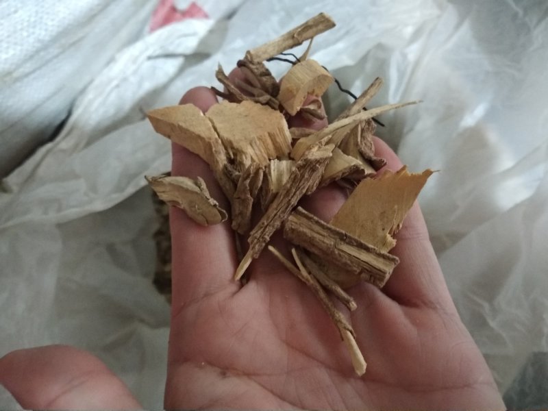 鸟不企全根