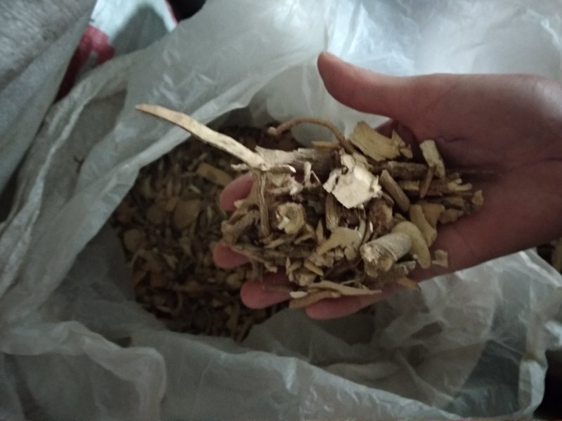 鸟不企全根
