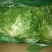 精品白菜，精品叶菜，最好的货源！