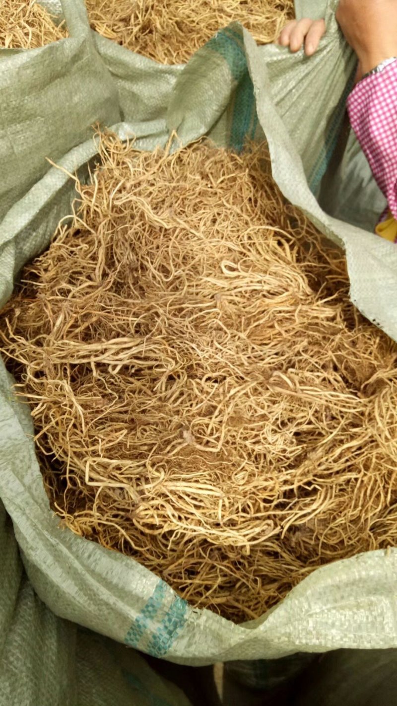 北龙胆，龙胆草各种规格，颜色漂亮东北龙胆草辽宁药材
