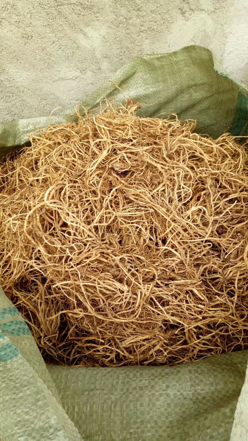 北龙胆，龙胆草各种规格，颜色漂亮东北龙胆草辽宁药材
