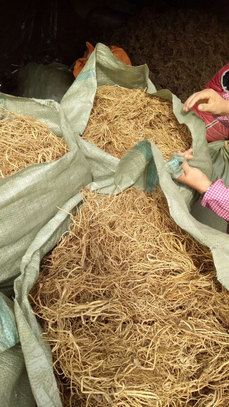北龙胆，龙胆草各种规格，颜色漂亮东北龙胆草辽宁药材