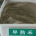 早熟禾种子净籽四季可播产量高每亩25/30斤