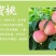 桃树苗盆栽南北方种植嫁接桃树苗大红桃树苗水地栽当年