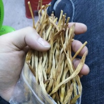 黄花菜一级品质