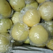 皇冠梨