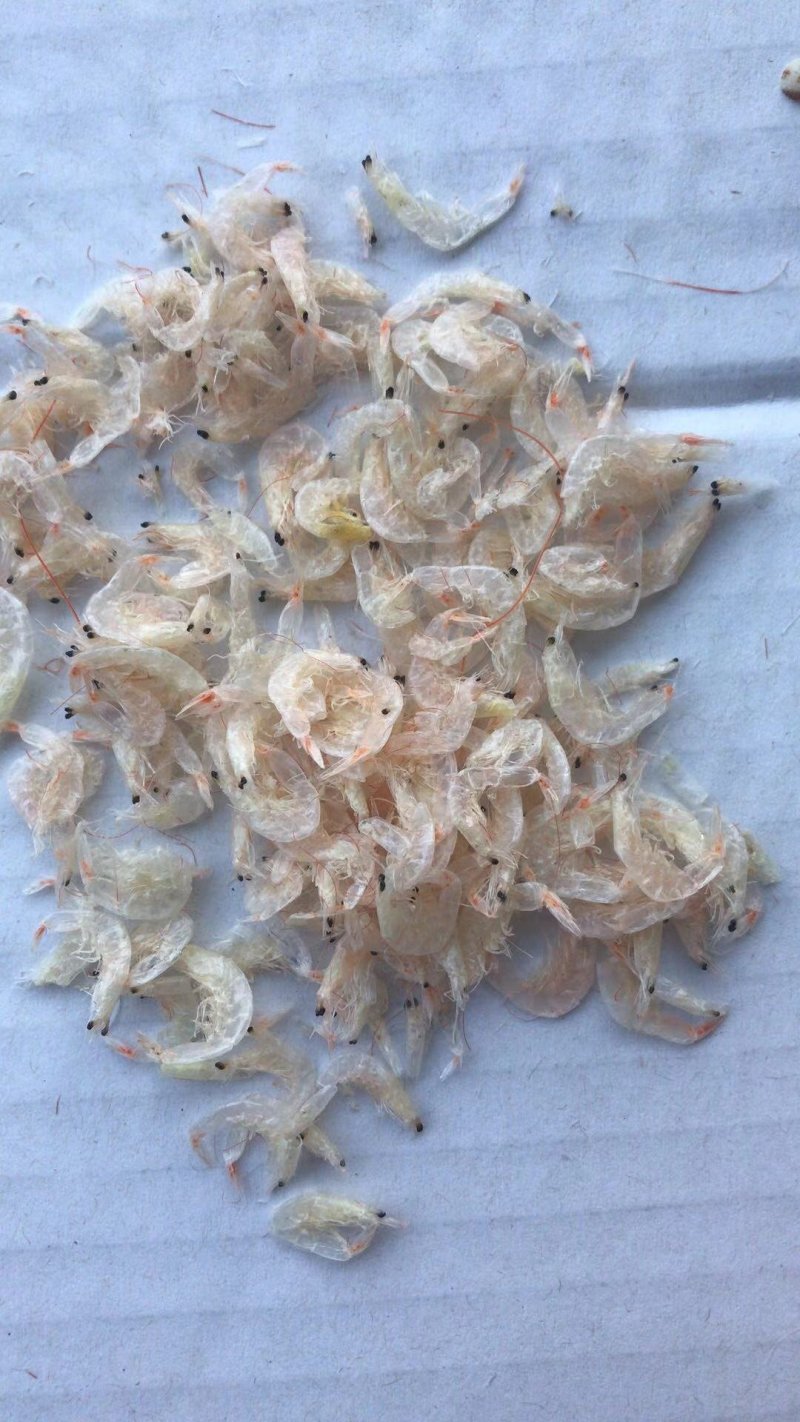纯淡干无盐虾皮常年批发无盐虾皮