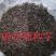 硫华菊种子发芽快花期长净籽6-8斤/亩