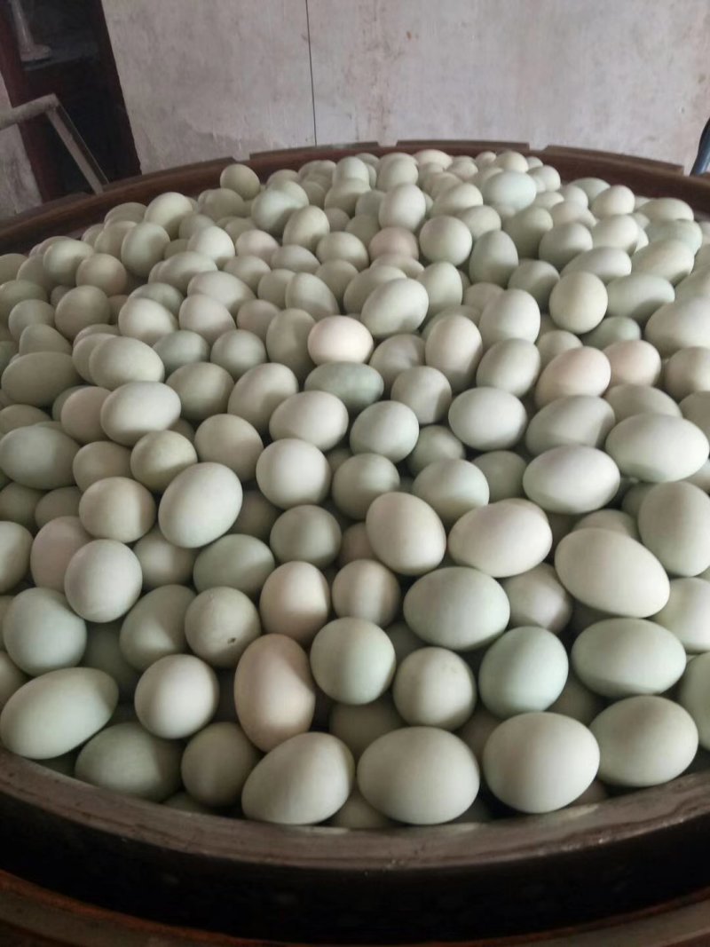 生熟咸鸭蛋，蛋黄