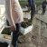青菱苗优质高产大量供货量大价优