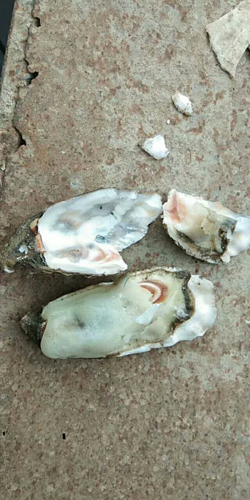 生蚝可以发物流，整车配送，零担都可以发车的