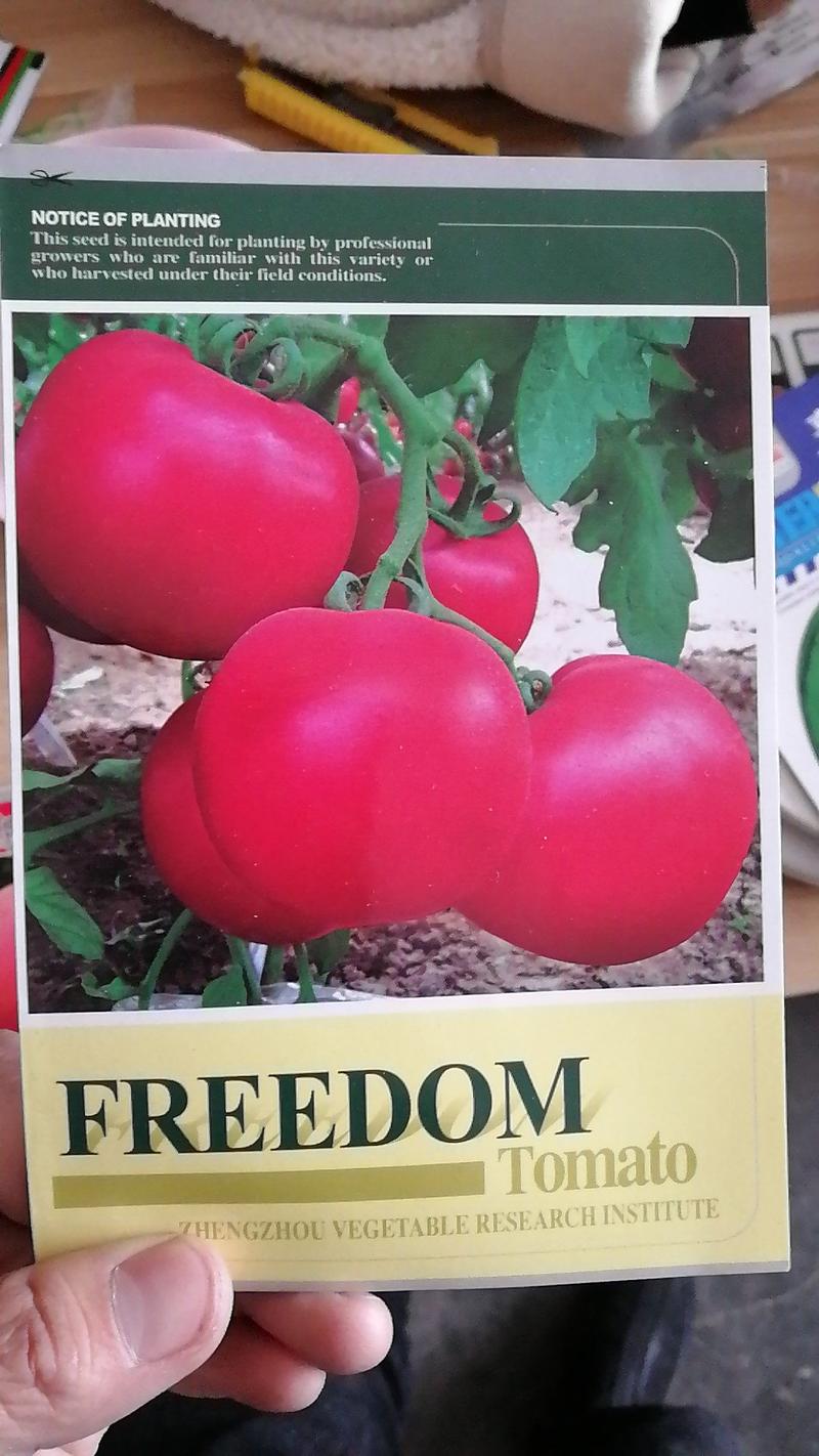 【精选】进口美国品牌红果番茄种子中型番茄耐运输口感好