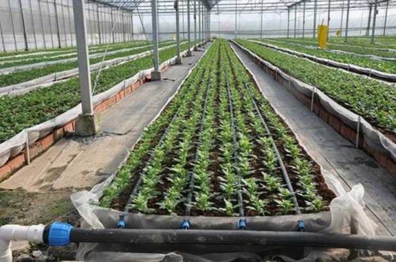 水带软带微喷带滴灌带主管水带厂家直销可定制