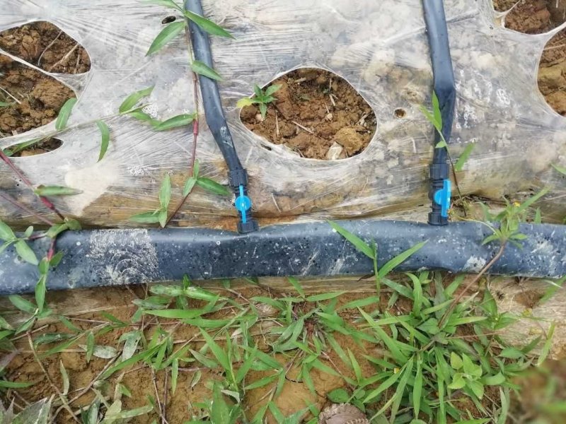水带软带微喷带滴灌带主管水带厂家直销可定制