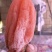 富平吊霜柿饼（王忠全）