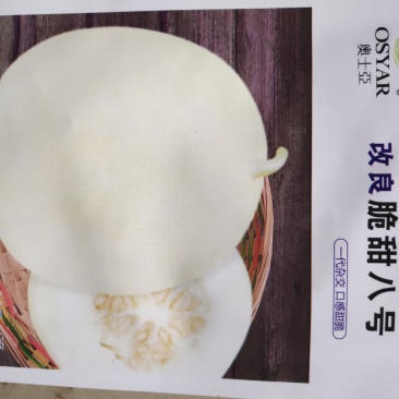 改良脆甜八号甜瓜种子