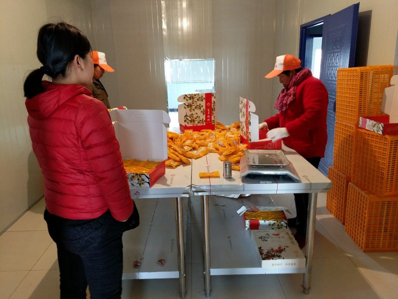 陕西特产富平霜柿饼，一百斤起