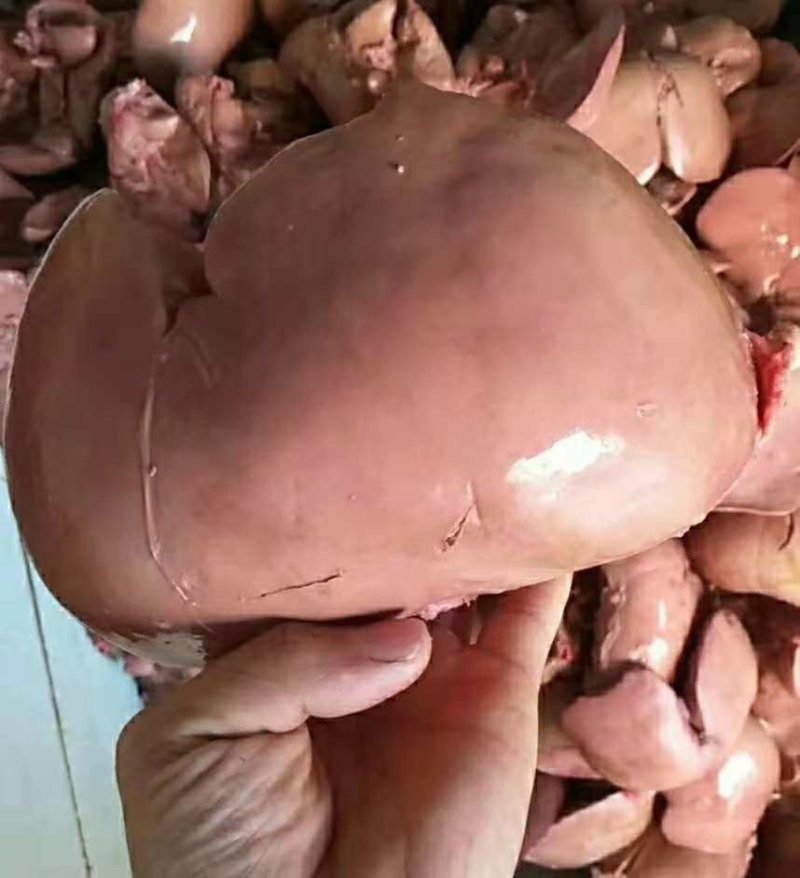 牛杂羊杂大全
