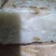 正中东北纯手工粘豆包粘切糕