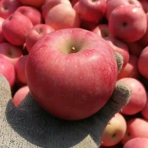 江西苹果红富士苹果纸袋全红皮薄甜脆无残次果产地一手货源