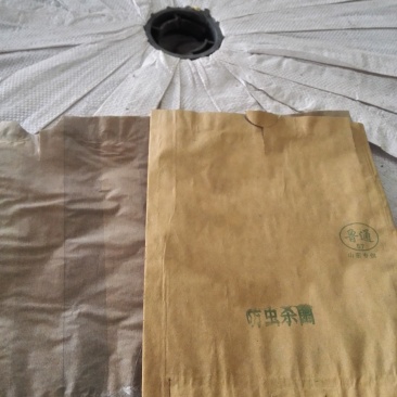 专业生产各种水果套袋
