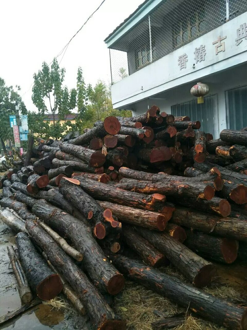原木
