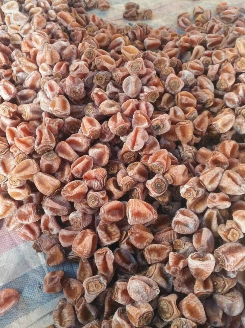 山东柿饼价格美丽欢迎选购