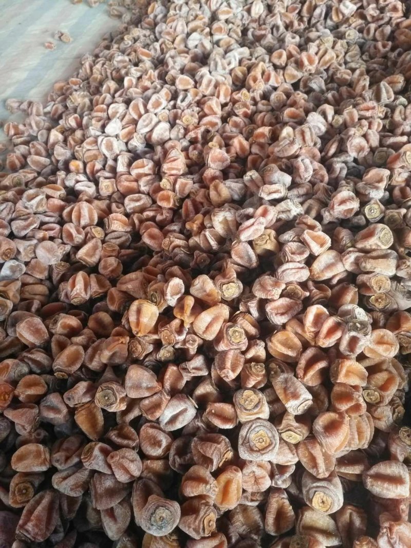 山东柿饼价格美丽欢迎选购