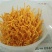 北虫草，蛹虫草，菌种，鲜品干品