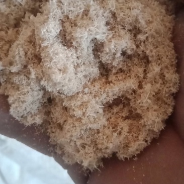 木粉做纸木粉制香木粉工业木粉中粗大粗木粉