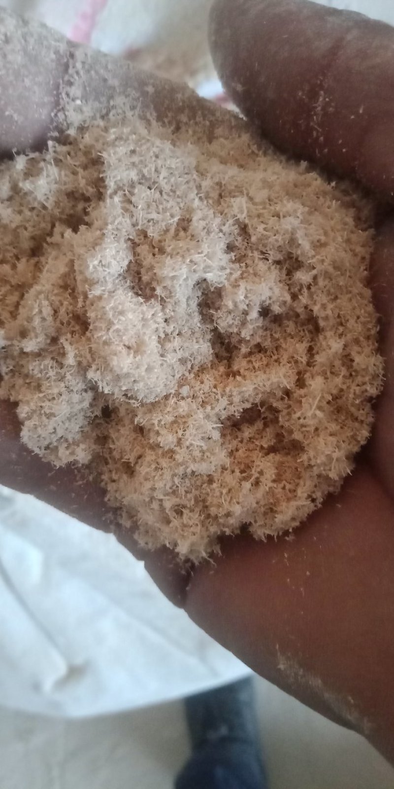 木粉做纸木粉制香木粉工业木粉中粗大粗木粉