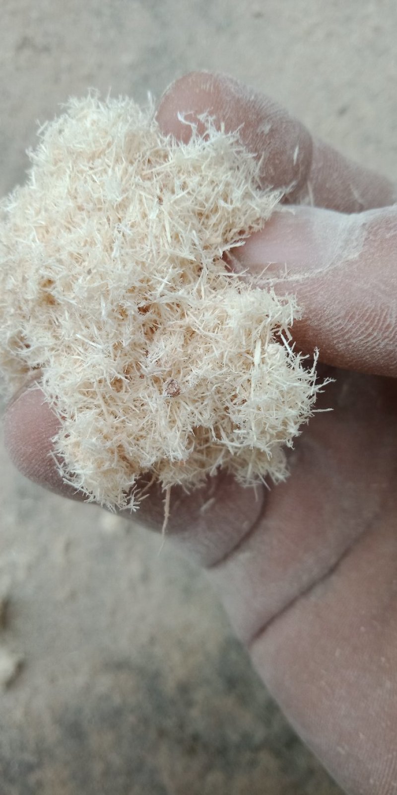 木粉做纸木粉制香木粉工业木粉中粗大粗木粉