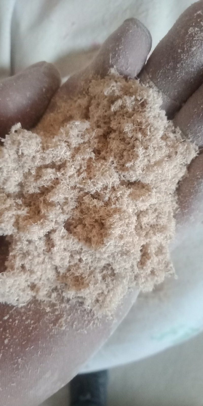 木粉做纸木粉制香木粉工业木粉中粗大粗木粉