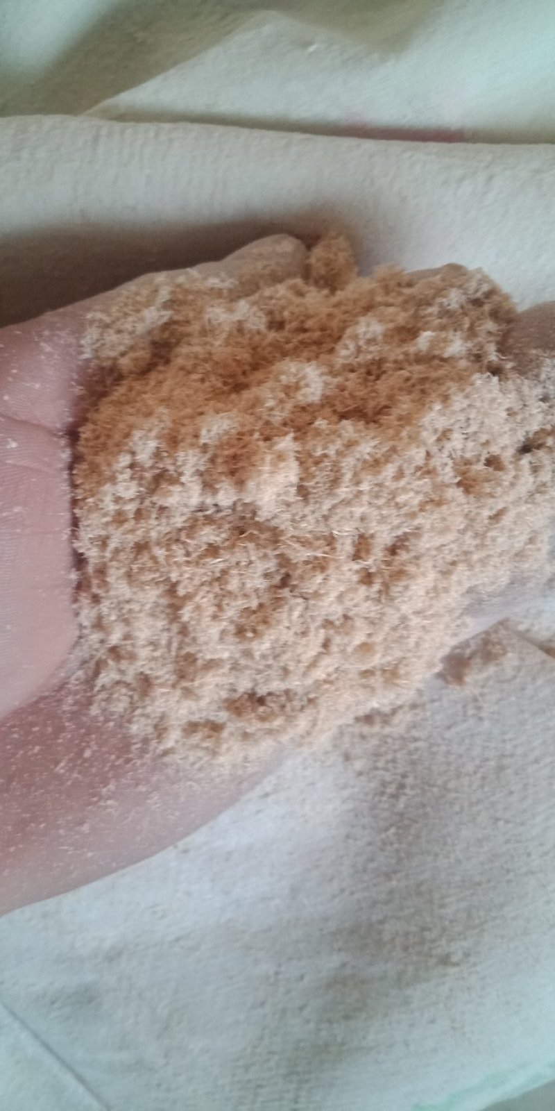 木粉做纸木粉制香木粉工业木粉中粗大粗木粉