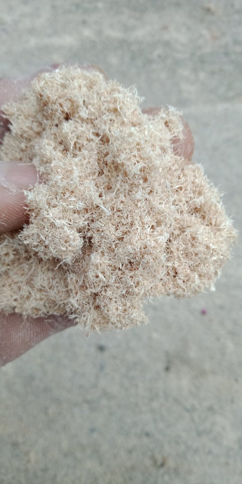 木粉做纸木粉制香木粉工业木粉中粗大粗木粉