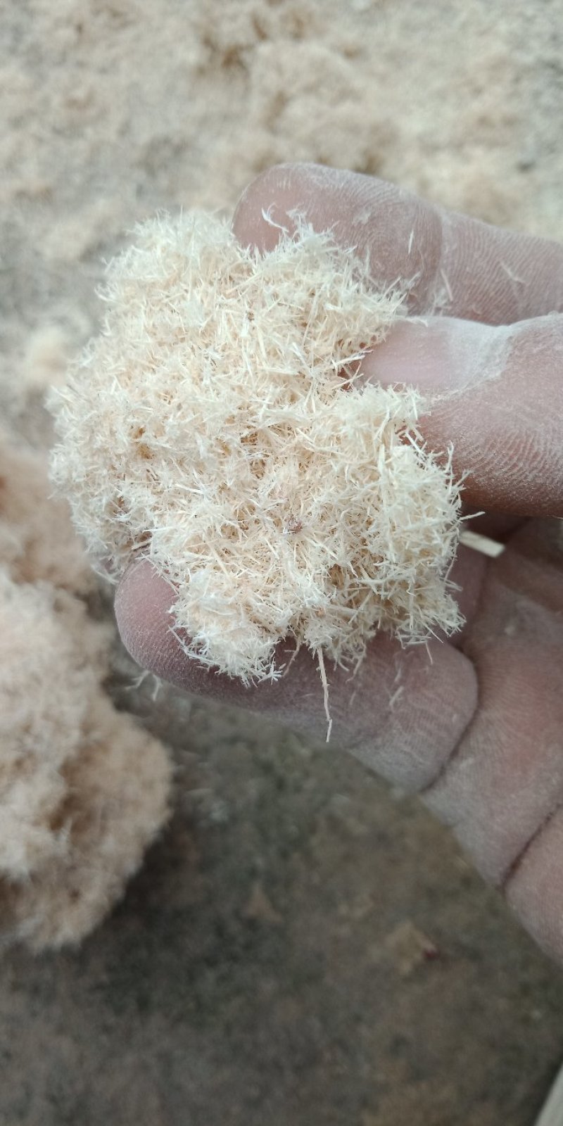 木粉做纸木粉制香木粉工业木粉中粗大粗木粉