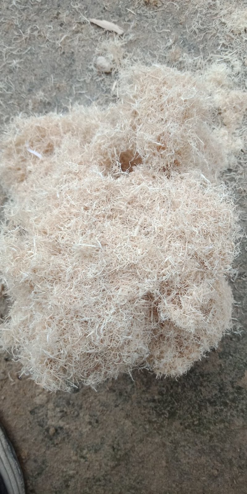 木粉做纸木粉制香木粉工业木粉中粗大粗木粉