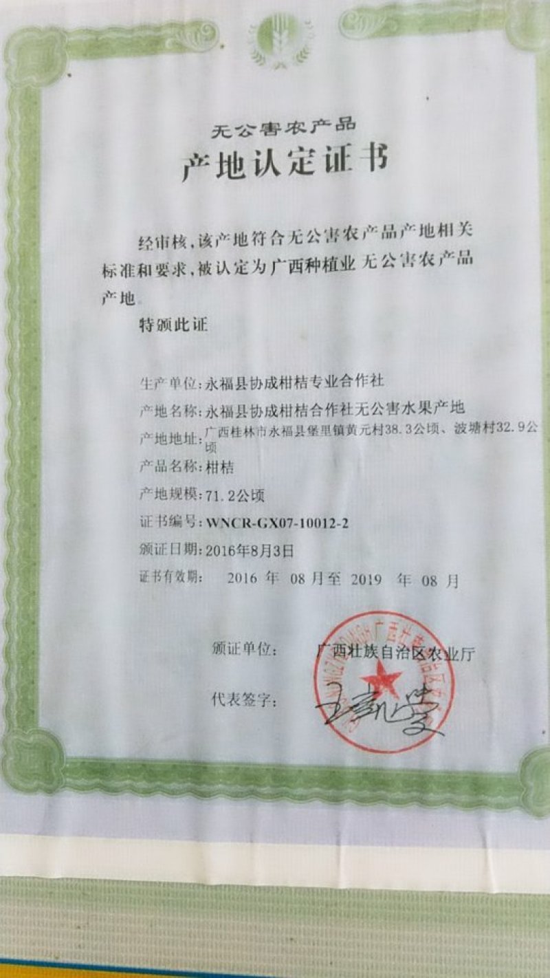 桂林沙糖桔百家果专业代收代收欢迎合作