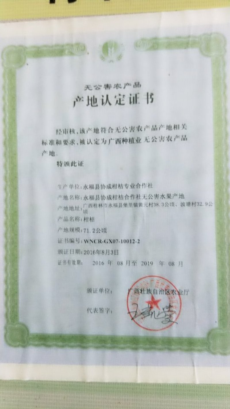 桂林永福沙糖桔专业代收代办打蜡包装