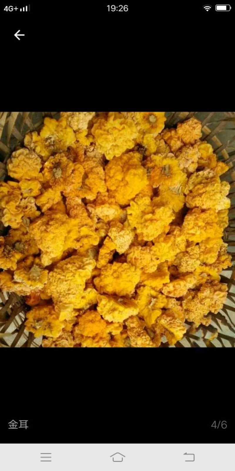 食用菌鲜货